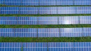 Economia e sustentabilidade: Entenda como o uso de painéis solares podem ajudar no sucesso da sua empresa