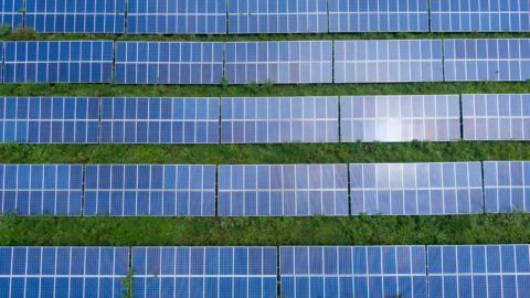 Economia e sustentabilidade: Entenda como o uso de painéis solares podem ajudar no sucesso da sua empresa