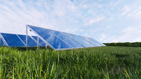 Arquitetura solar: quais são os seus benefícios?