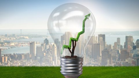 Economia verde: o que é e quais são as suas vantagens