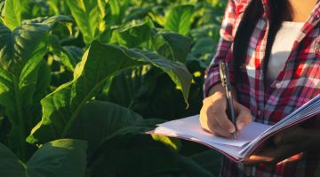 Como preparar sua empresa para uma fiscalização ambiental