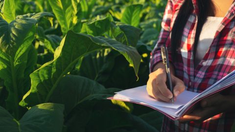 Como preparar sua empresa para uma fiscalização ambiental
